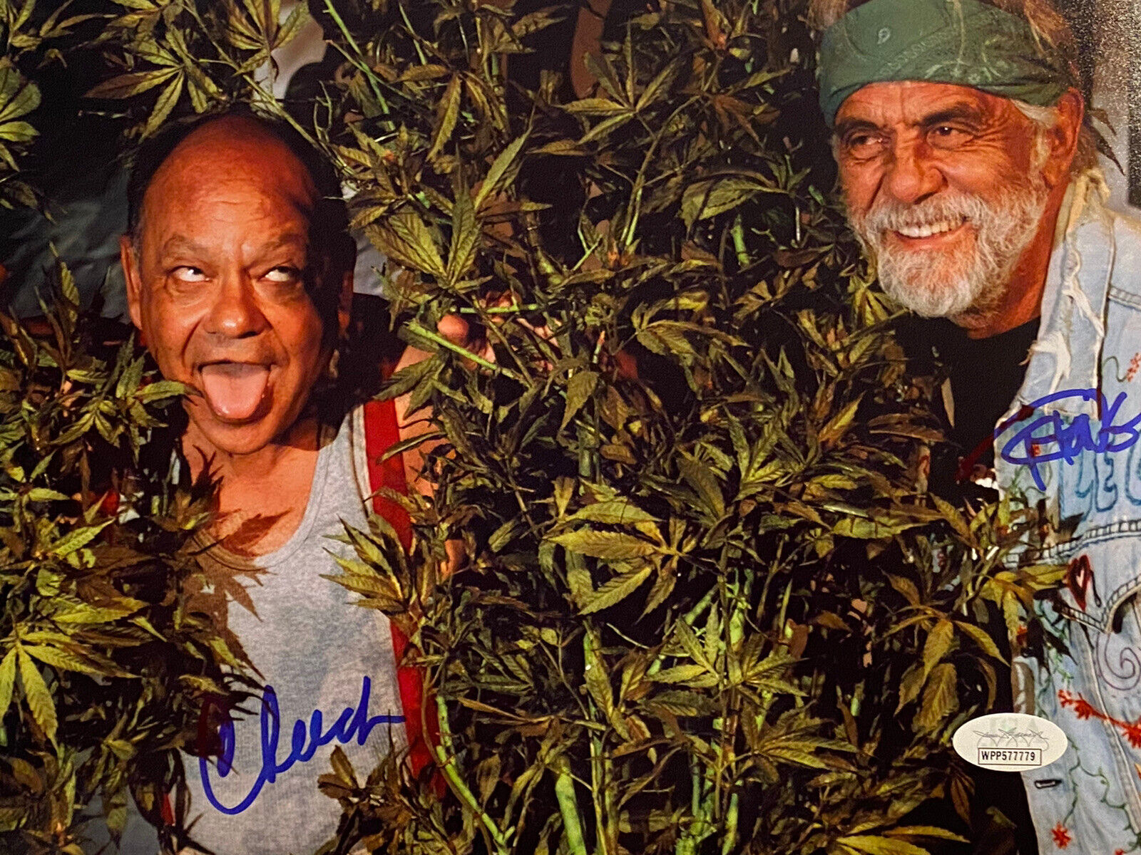 Cheech and Chong Autograph 8x10 Photo Poster painting Signed JSA COA Stoner, weed,