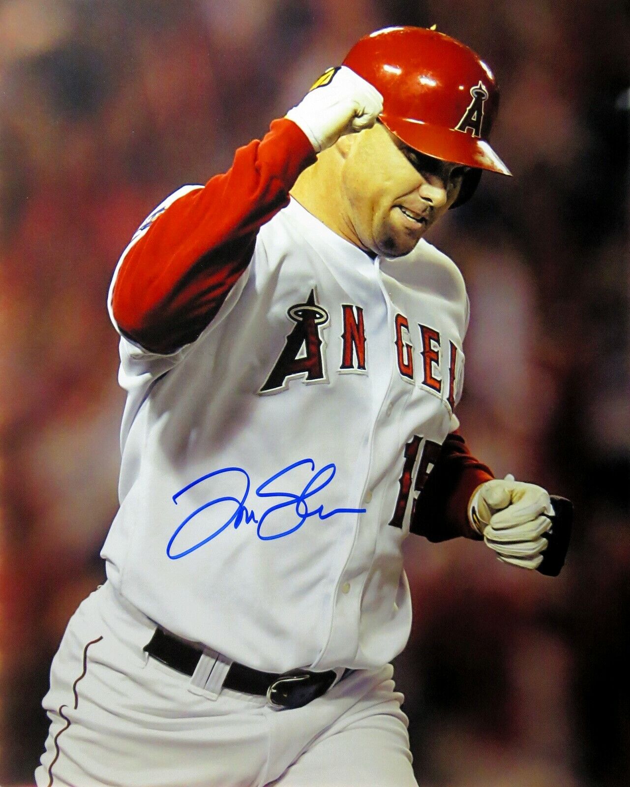 Tim Salmon Signed Autographed 16X20 Photo Poster painting Angels Home Fist Pump Home Run COA