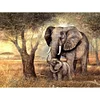 Cross Stitch - 11CT Stamped 3 Strands - Elephant Mother And Baby 40*50cm