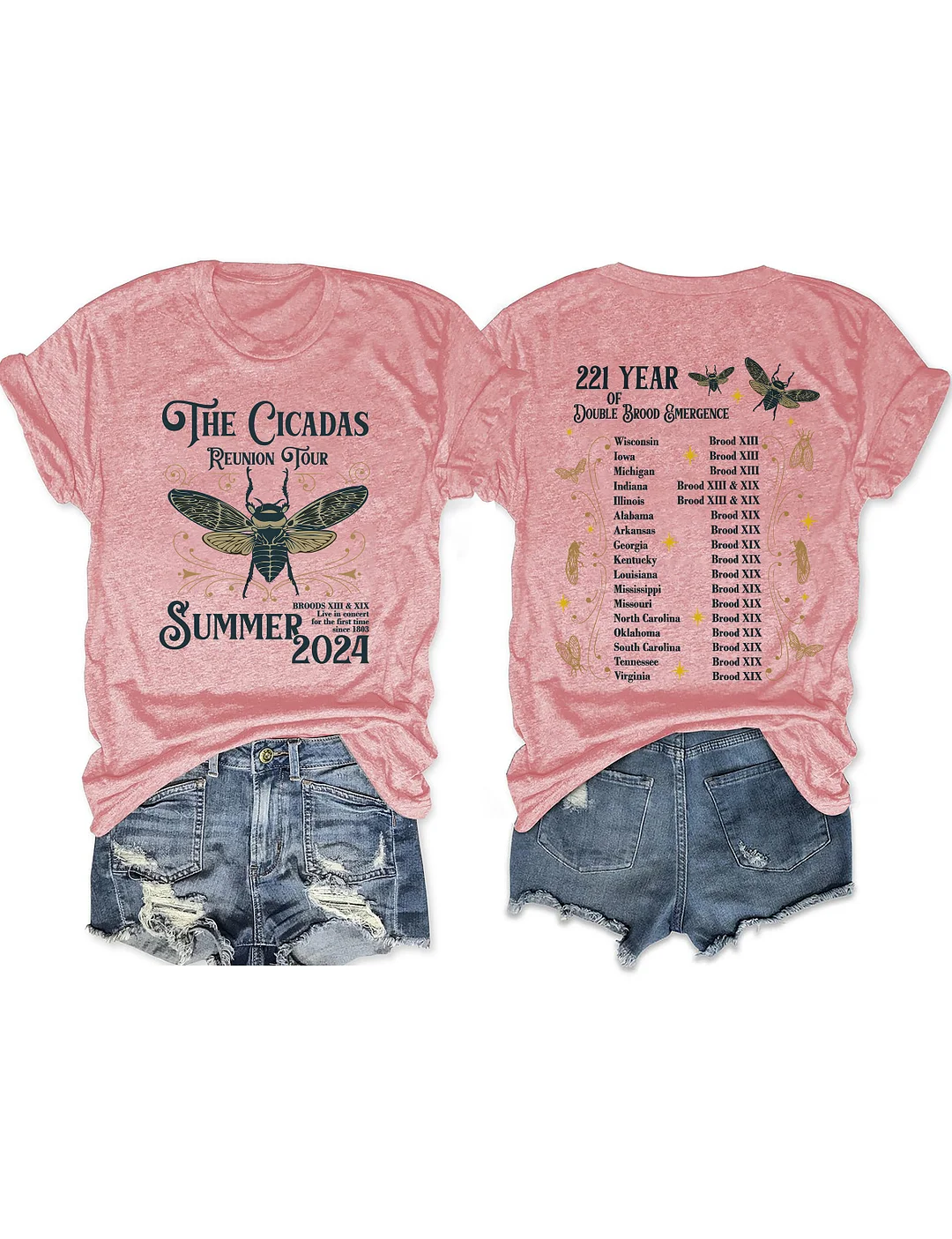 The Cicadas Reunion Tour Summer 2024 T-shirt