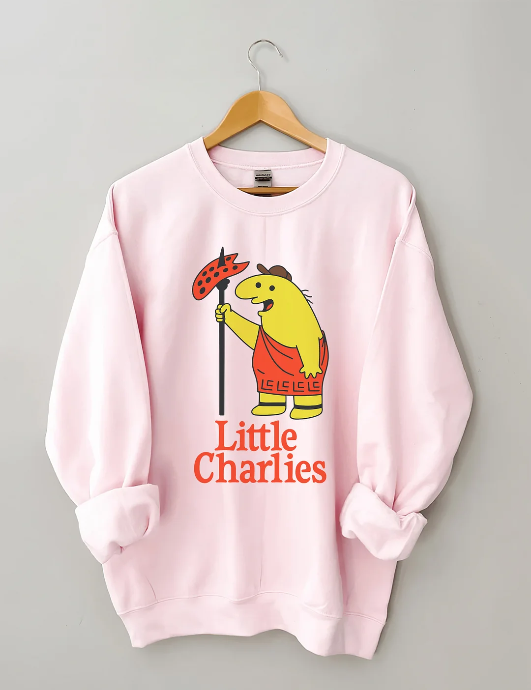 Little Charlies Funny Sweatshirt