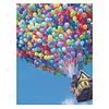 Diamond Painting-Partial Drill Balloon House