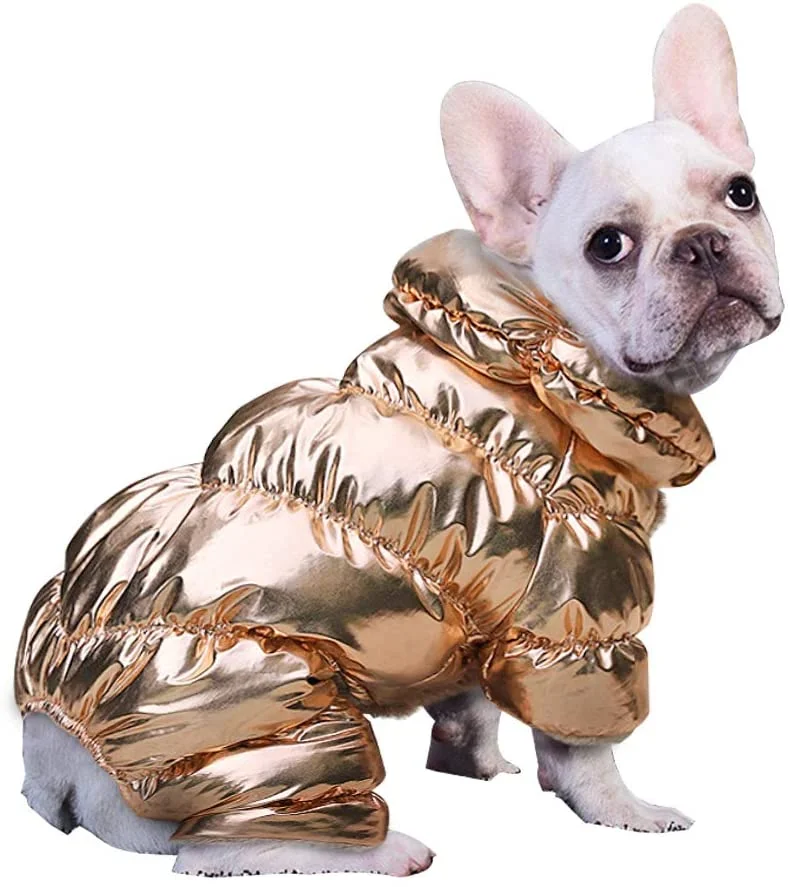 Golden/Silver Waterproof Winter Jacket