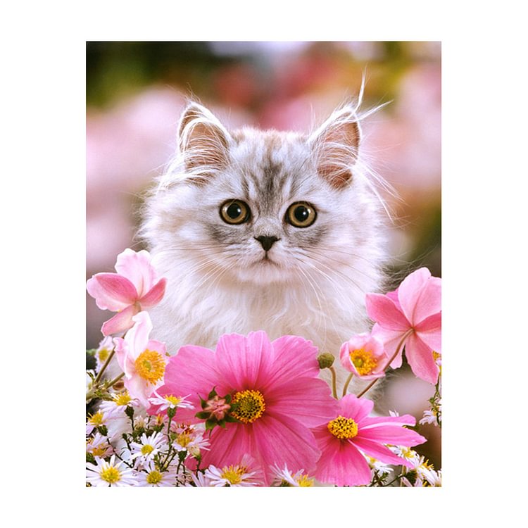Cat Round Drill Diamond Painting 30X40CM(Canvas) gbfke