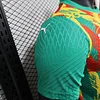 2024/2025 Player Version Senegal National Team Training Wear Football Shirt 1:1 Thai Quality