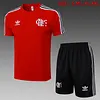 2025/2026 Flamenco pre-match training Red Shirt+Shorts 1:1 Thai Quality