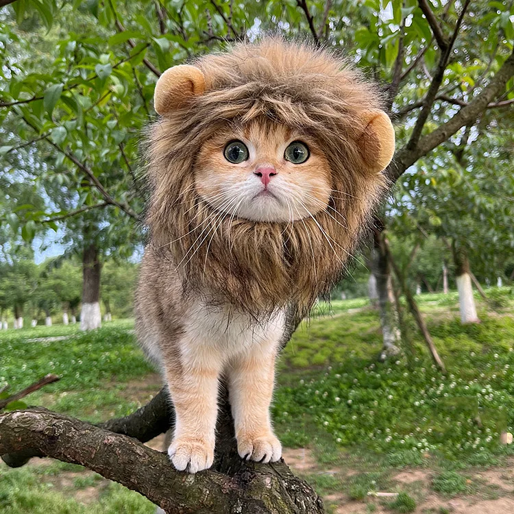 【Kup jeden, a drugi dostaniesz za darmo】🦁 Nakrycie głowy imitacja lwiej grzywy