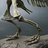 3D T-Rex Dinosaur Skeleton Model Puzzles Simulation Educational Toy Pre-School Teaching Soft Non-Toxic PVC Material Gifts