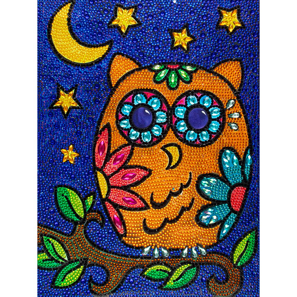 

Owl - Crystal Special Shaped Diamond Painting - 30*40CM, 501 Original