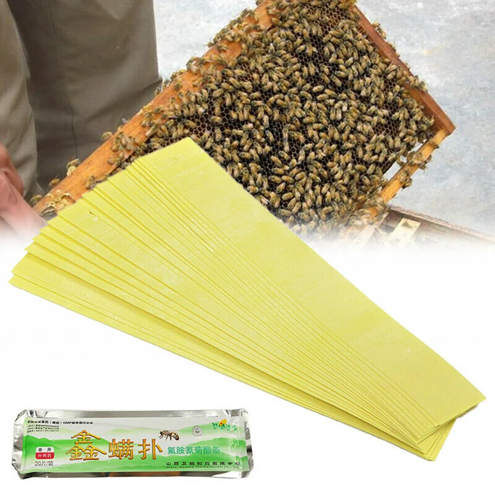 20x Fluvalinate Bee Mite Killer Strips Beekeeping Anti Insect Pest Miticide