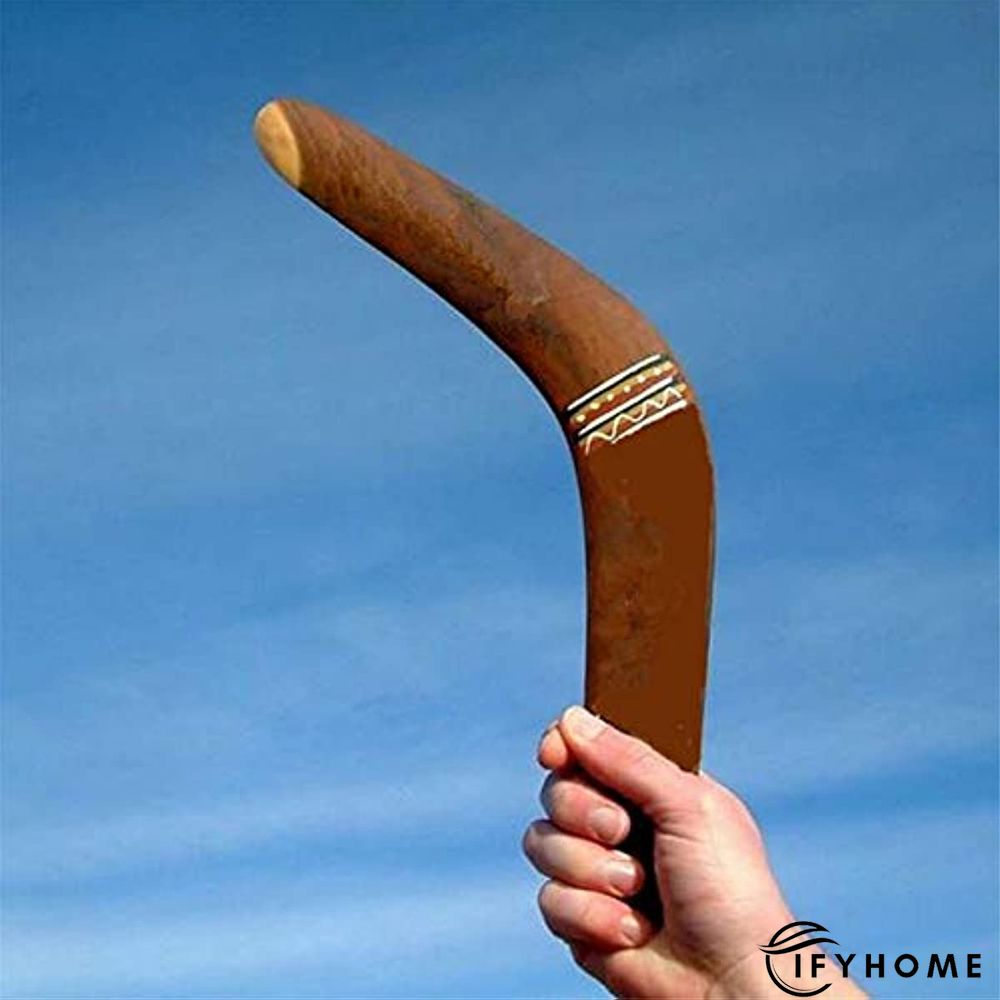 V Shaped Boomerang Throwback Flying Disc | IFYHOME