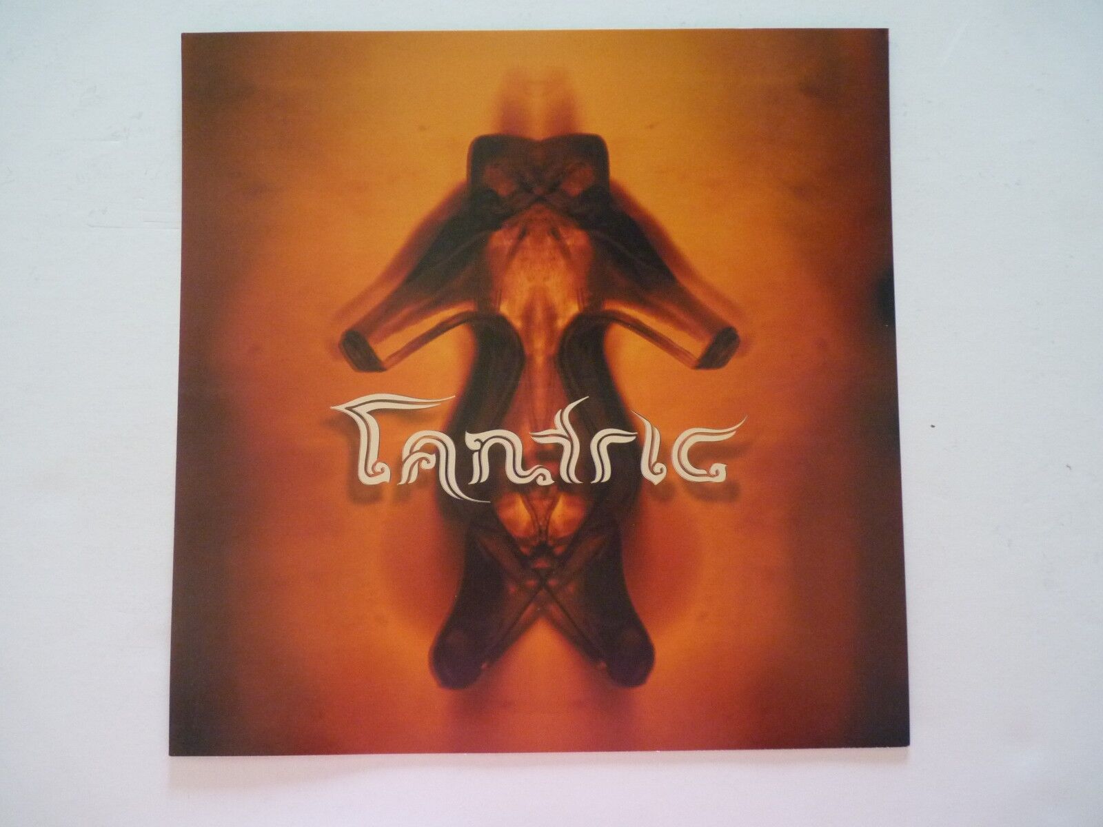 Tantric Cardboard LP Record Photo Poster painting Flat 12X12 Poster