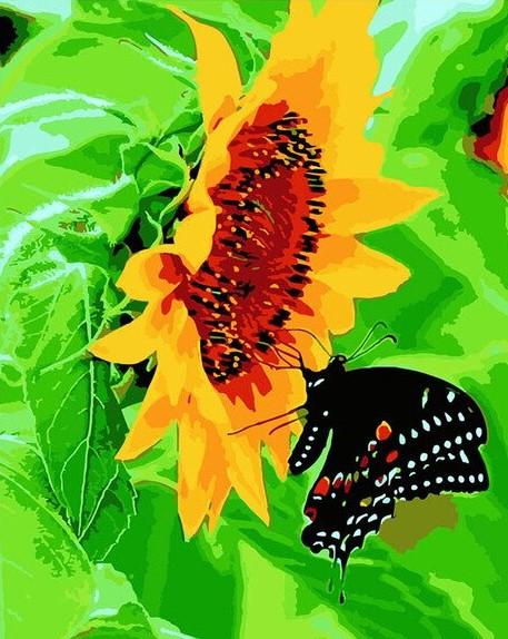 

Black Butterfly on Sunflower – Paint By Numbers - 40*50CM, 501 Original