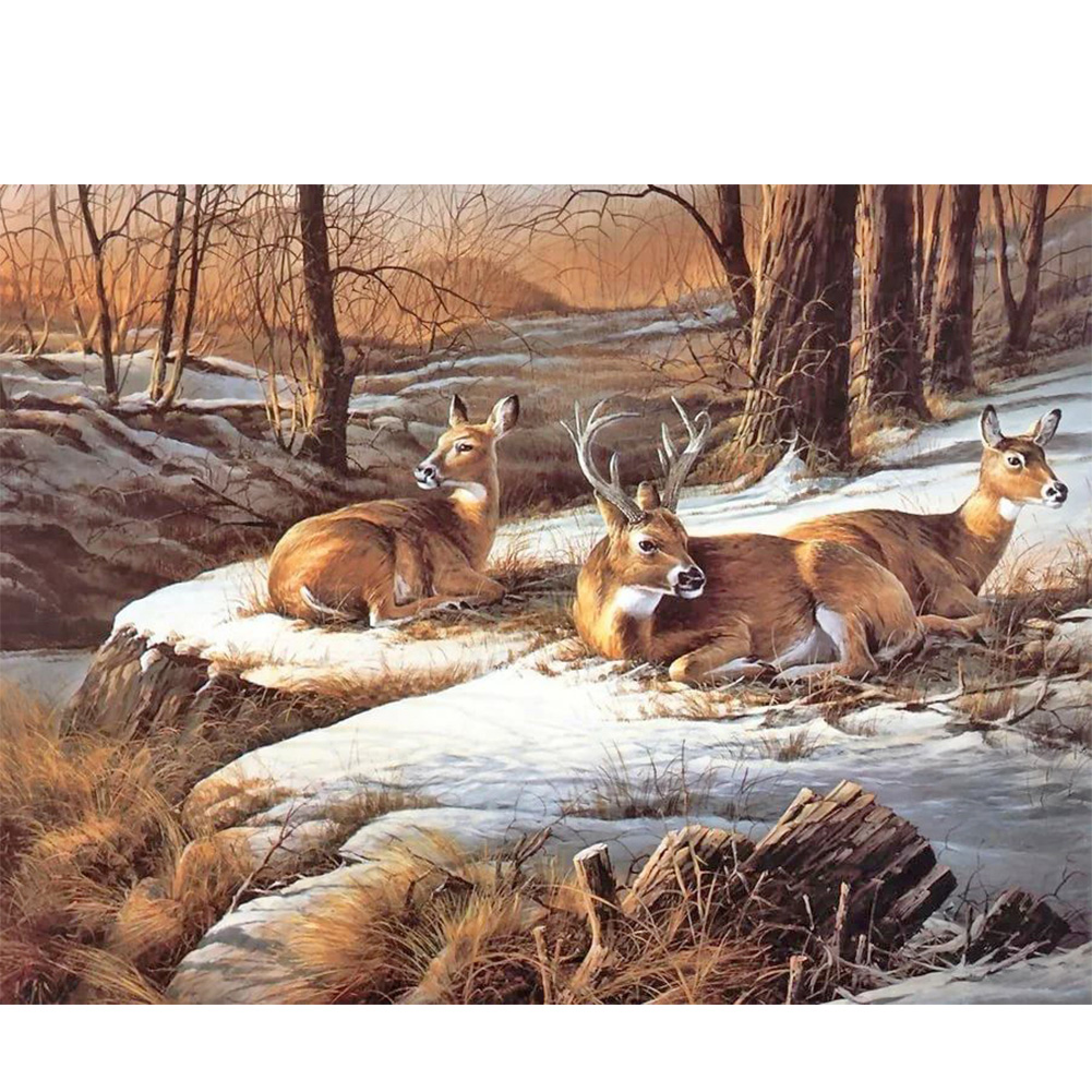 

Deer - Round Drill Diamond Painting - 40*30CM, 501 Original