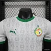 2024 Player Version Senegal Soccer Jersey Home