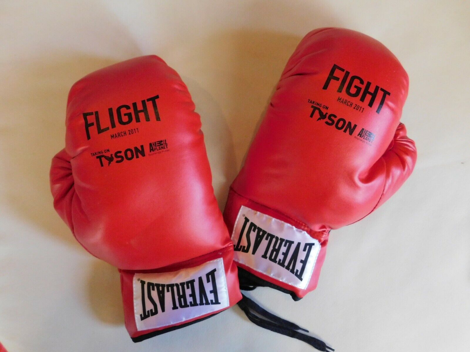 Talking to Tyson Flight Animal Planet promo boxing gloves B36