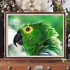 uk.everydayedeals (Limited Stock)Diamond Painting - Full Square - Eagle