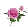 Real Touch Moisture Large 16cm Peony Luxe Artificial Flower