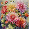 (Big Size)[Brand]Dahlia - 14CT Stamped Cross Stitch - 75*75cm - Flower Natural