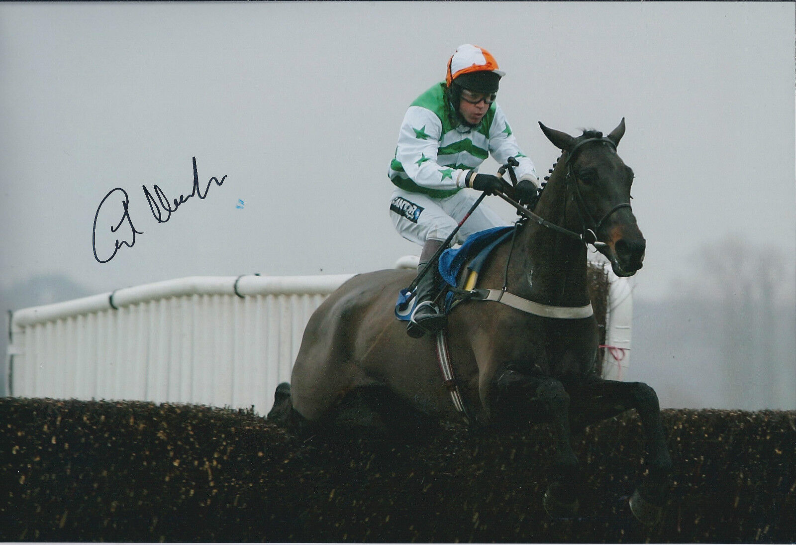 Carl LLEWELLYN Jockey SIGNED Autograph Photo Poster painting AFTAL COA Lord of Illusion Newbury