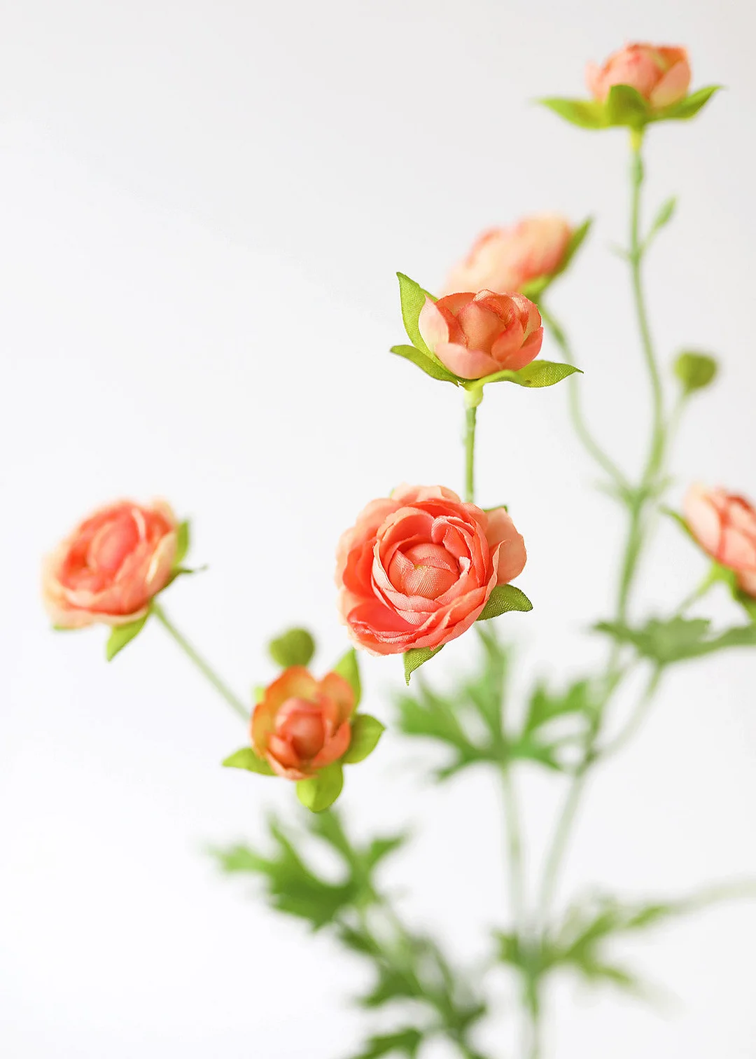 Silk Mini Ranunculus in Coral - 22"