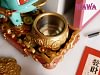 Lucky Money Toad Bulbasaur - Pokemon Resin Statue - WAWA Studio