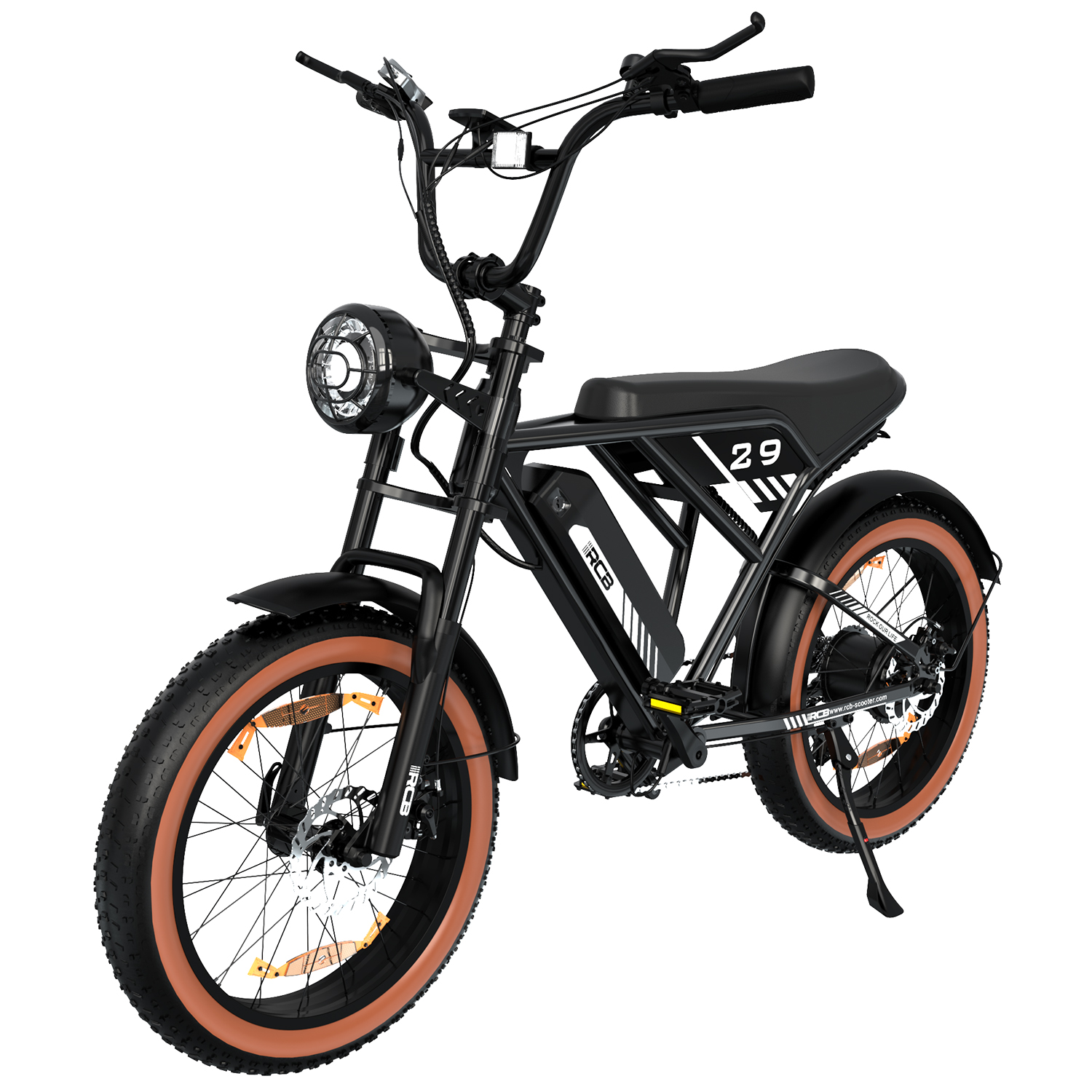 RCB RK29 Electric Bike for Adults(RCB E BIKE)