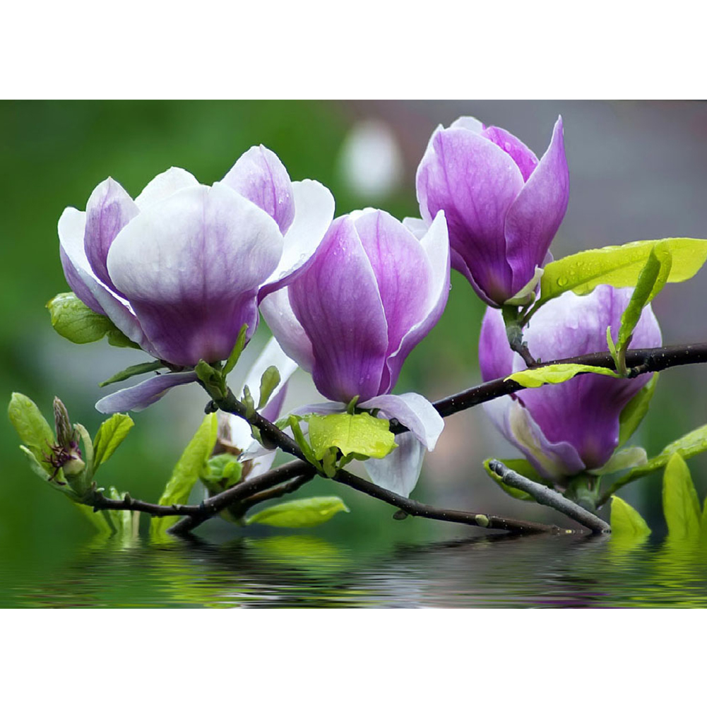 

40*30CM - Round Drill Diamond Painting - Flower over Water, 501 Original