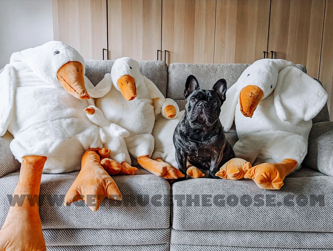 Bruce The Goose&trade; - Weighted Plushie