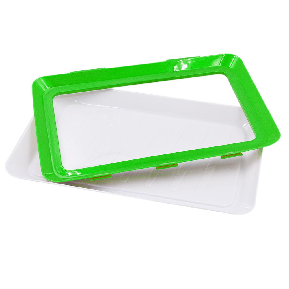 

Food Preservation Tray Plastic Food Fresh Storage Plates Container (Green), 501 Original