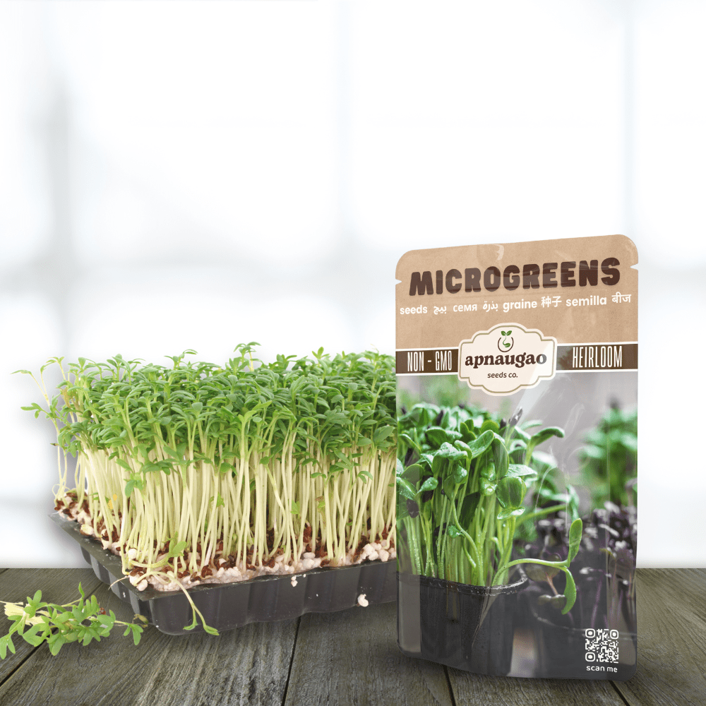 Watercress (Nasturtium) Seeds &ndash; Fast-Growing