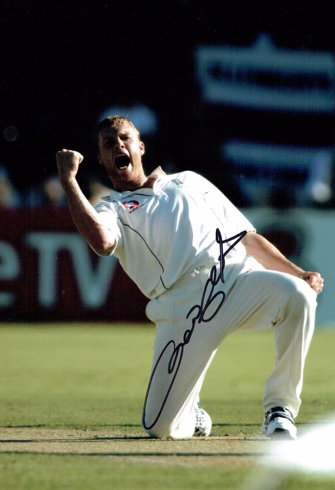 Andrew Freddie FLINTOFF Signed Autograph 12x8 RARE Photo Poster painting AFTAL England Cricket