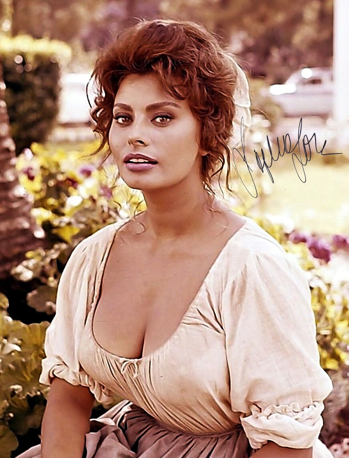 SOPHIA LOREN SIGNED AUTOGRAPH 8.5X11 Photo Poster painting REPRINT SEXY HOLLYWOOD TV MOVIE STAR