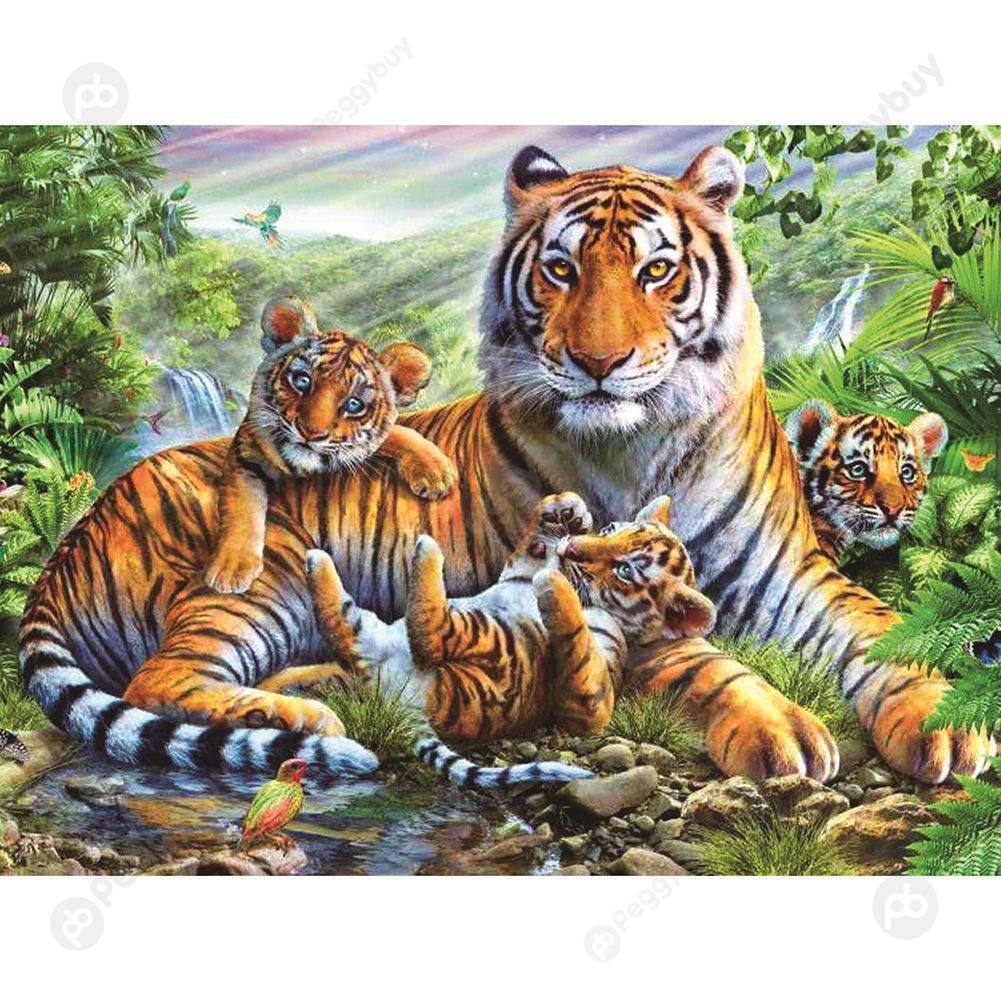 

40*50CM Paint By Numbers-Tigers, 501 Original