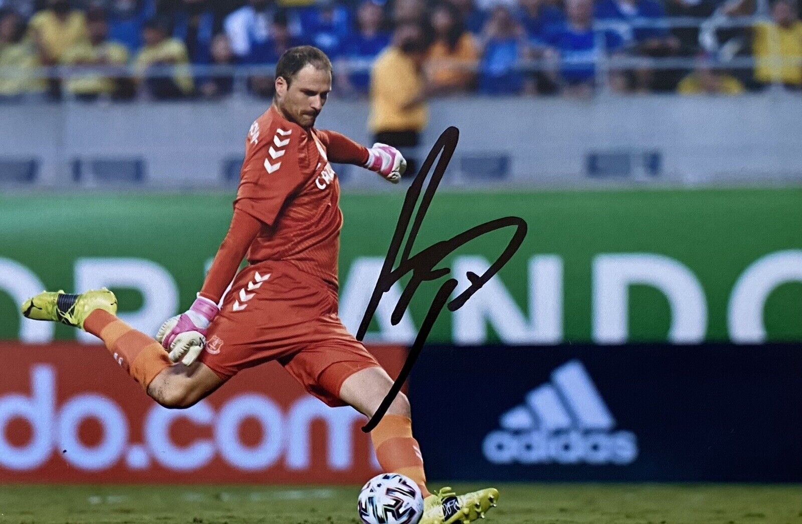 Asmir Begovic Genuine Hand Signed Everton 6X4 Photo Poster painting