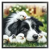 Border Collie And Chicks-11CT Stamped Cross Stitch 40*40cm/15.75*15.75in tapestrymarket