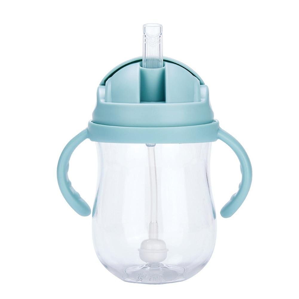 Two-Handle No-Spill Sippy Cup