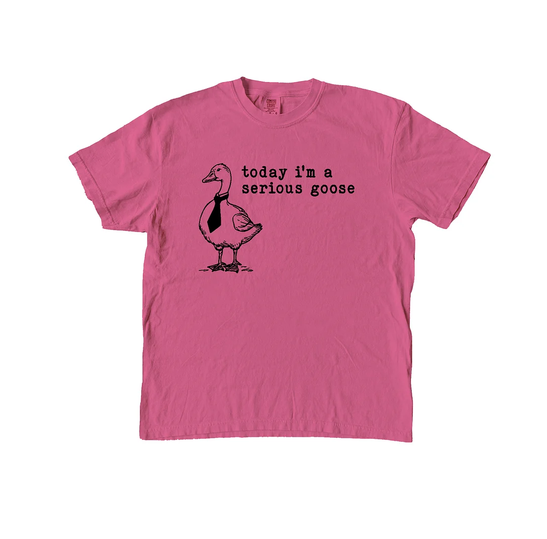 Unisex Duck Graphic Print Oversized T-shirt / DarkAcademias /Darkacademias