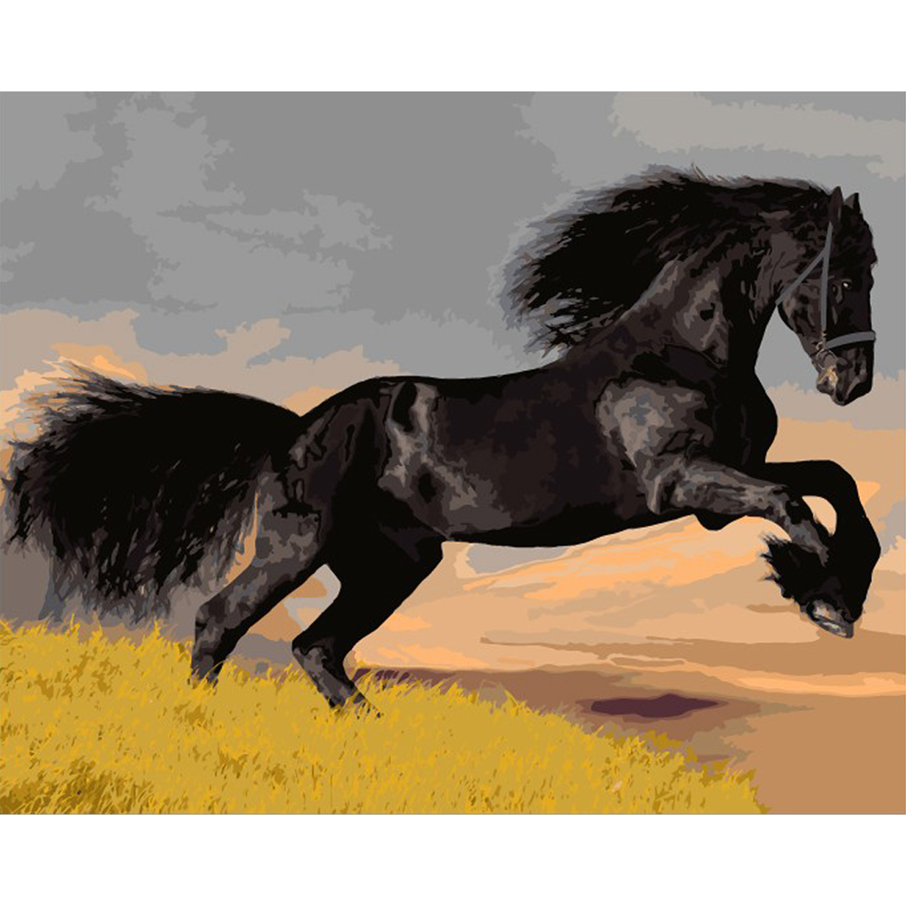 

40*50cm - Painting By Numbers - Grassland Horse, 501 Original