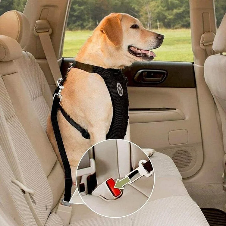 Dog Safety Harness Set | 168DEAL