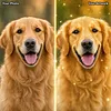 Custom Pet Diamond Painting Kit