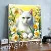 Framed Diamond Painting - Full Round Drill - White Cat (25x25cm)