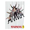 Madness - Vintage Metal Signs(8*12Inch)