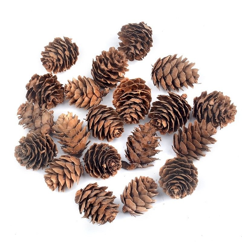 10pcs 3CM  Natural Cheap Mini Pine Nuts Artificial Fake Fruit Vegetable For Home Wedding Decoration Christmas Tree Decoration
