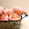 10 Pack | 3" Peach Artificial Silk DIY Craft Peony Flower Heads
