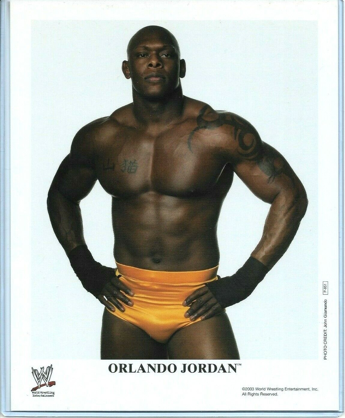 WWE ORLANDO JORDAN P-851 OFFICIAL LICENSED ORIGINAL 8X10 PROMO Photo Poster painting RARE