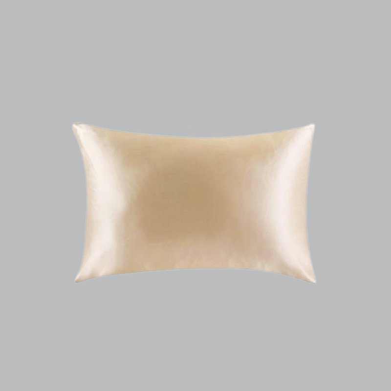 19 Momme Both Sides In Mulberry Silk Pillowcase REAL SILK LIFE