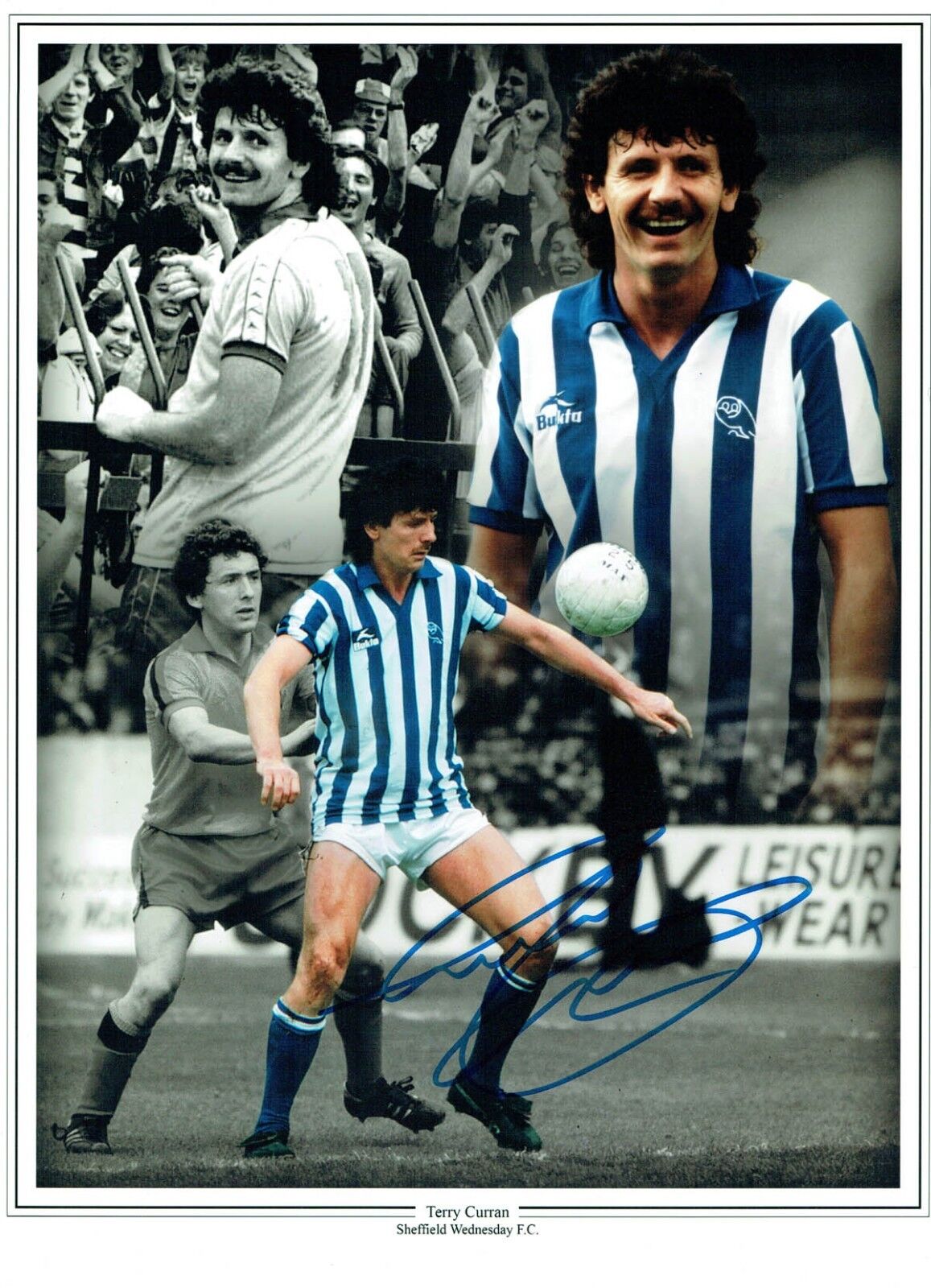 Terry CURRAN Signed Montage 16x12 Photo Poster painting Sheffield Wednesday OWLS AFTAL COA