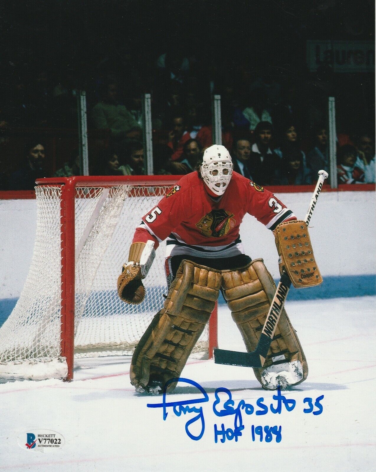 TONY ESPOSITO Signed Chicago BLACKHAWKS 8x10 Photo Poster painting w/ Beckett COA & HOF Inscrip