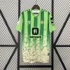 2024/2025 Real Betis Special Edition Football Shirt 1:1 Thai Quality love fball